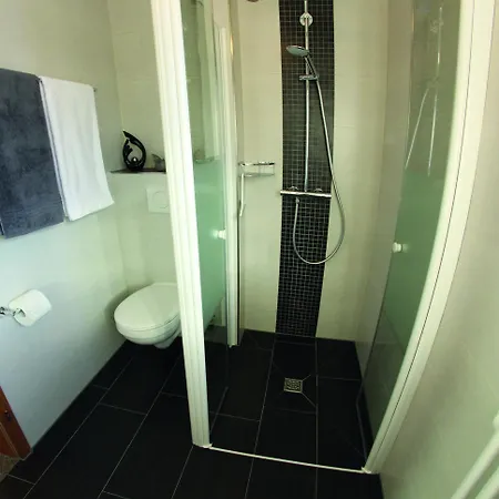 Haus Stanek Apartment